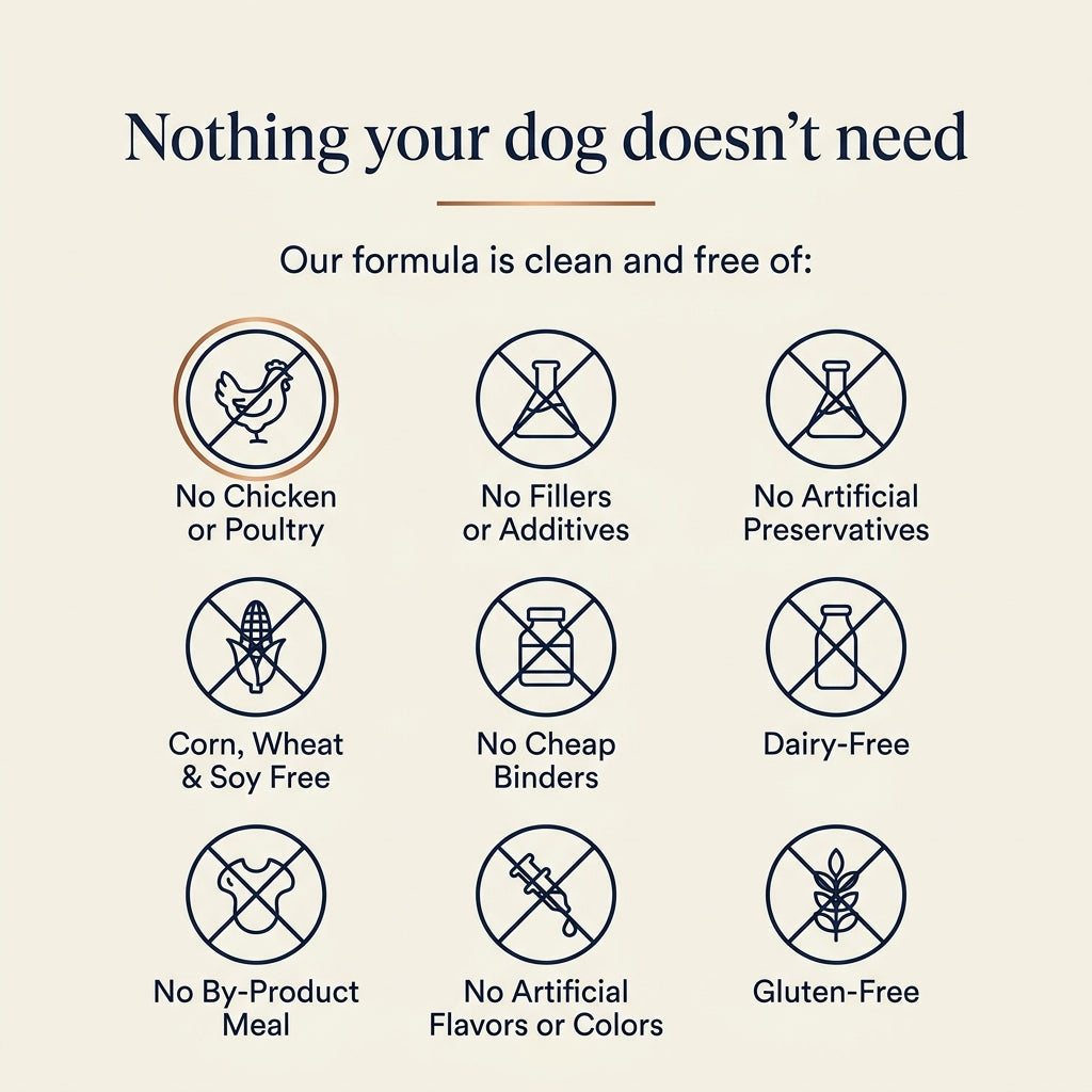 Puppy Again™ - Liquid Marine Collagen for Dogs