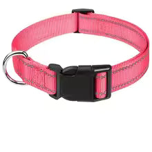 PawFectHeaven - Safety Collar