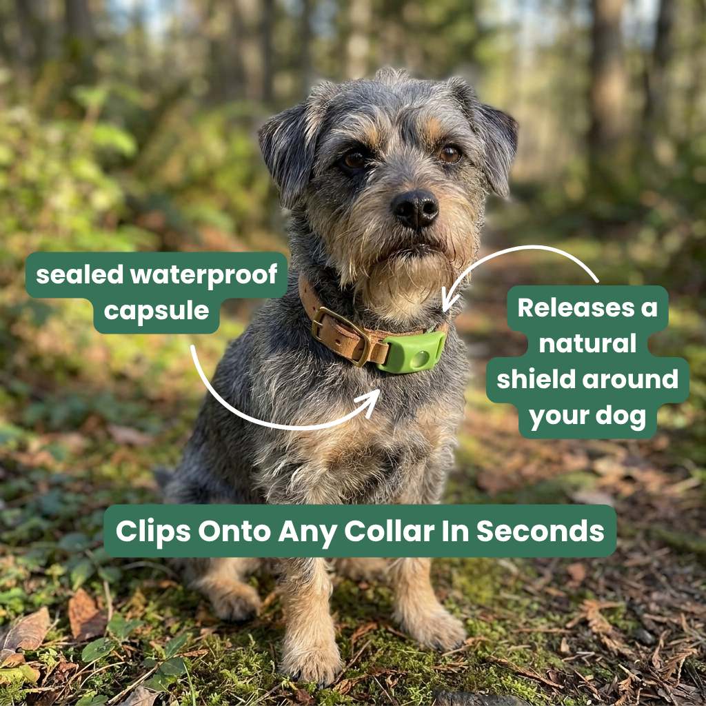 Natural Flea & Tick Pendant™