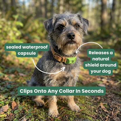 Natural Flea & Tick Pendant™