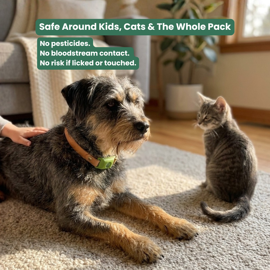 Natural Flea & Tick Pendant™