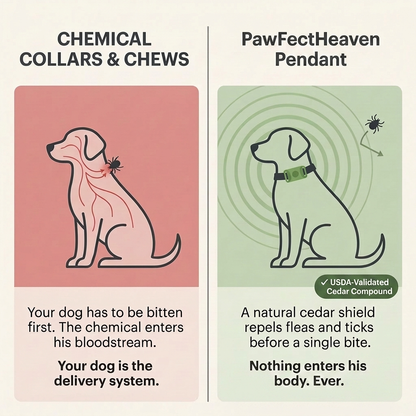Natural Flea & Tick Pendant™