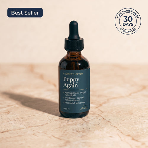 Puppy Again™ - Liquid Marine Collagen for Dogs