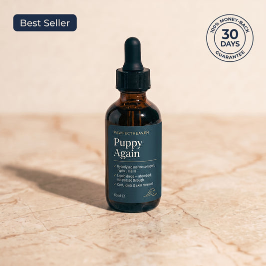 Puppy Again™ - Liquid Marine Collagen for Dogs