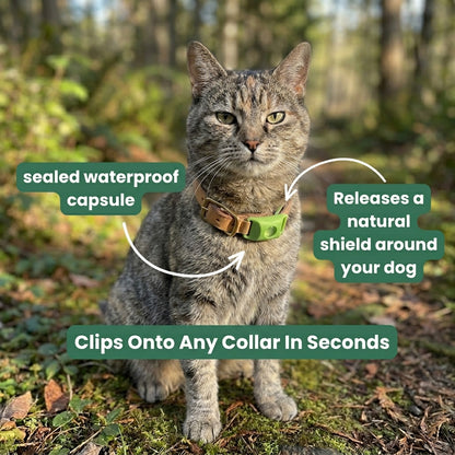 Natural Flea & Tick Pendant™ - for cats