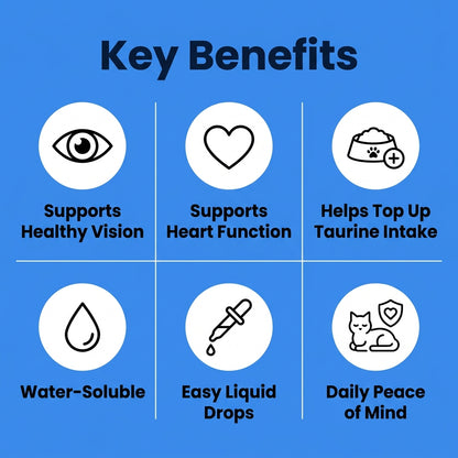 Stop the Silent Deficiency Before You See the Signs with PawFectHeaven™ Taurine Supplement