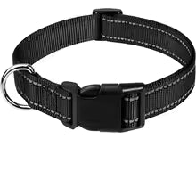 PawFectHeaven - Safety Collar