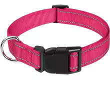 PawFectHeaven - Safety Collar