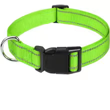 PawFectHeaven - Safety Collar