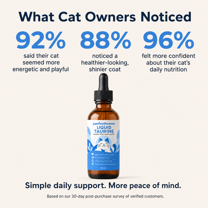 Stop the Silent Deficiency Before You See the Signs with PawFectHeaven™ Taurine Supplement